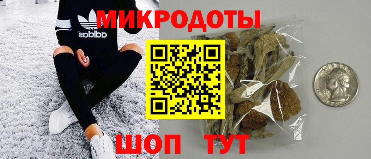 Галлюциногенные грибы ЛСД Ефремов